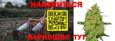 бошки Тара