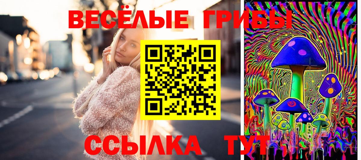 Реж  Псилоцибиновые грибы GOLDEN TEACHER  Вход с VPN 